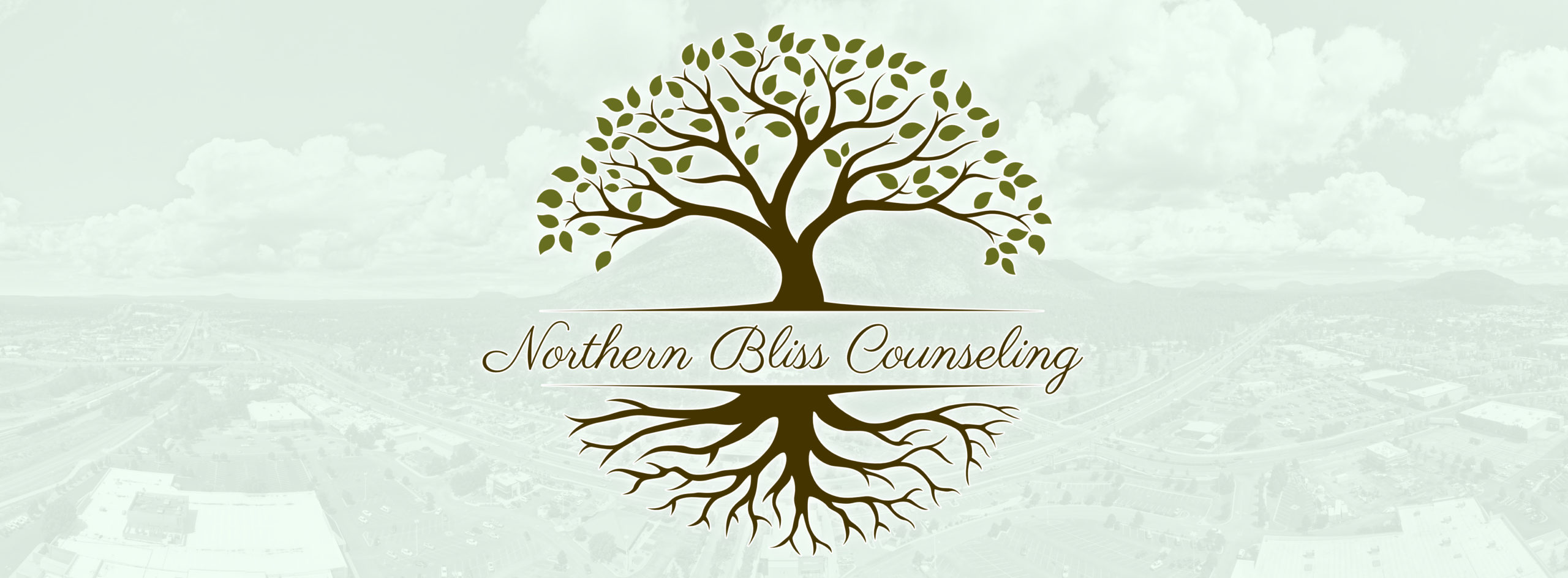 Northern Bliss Counseling Services, LLC Flagstaff Arizona