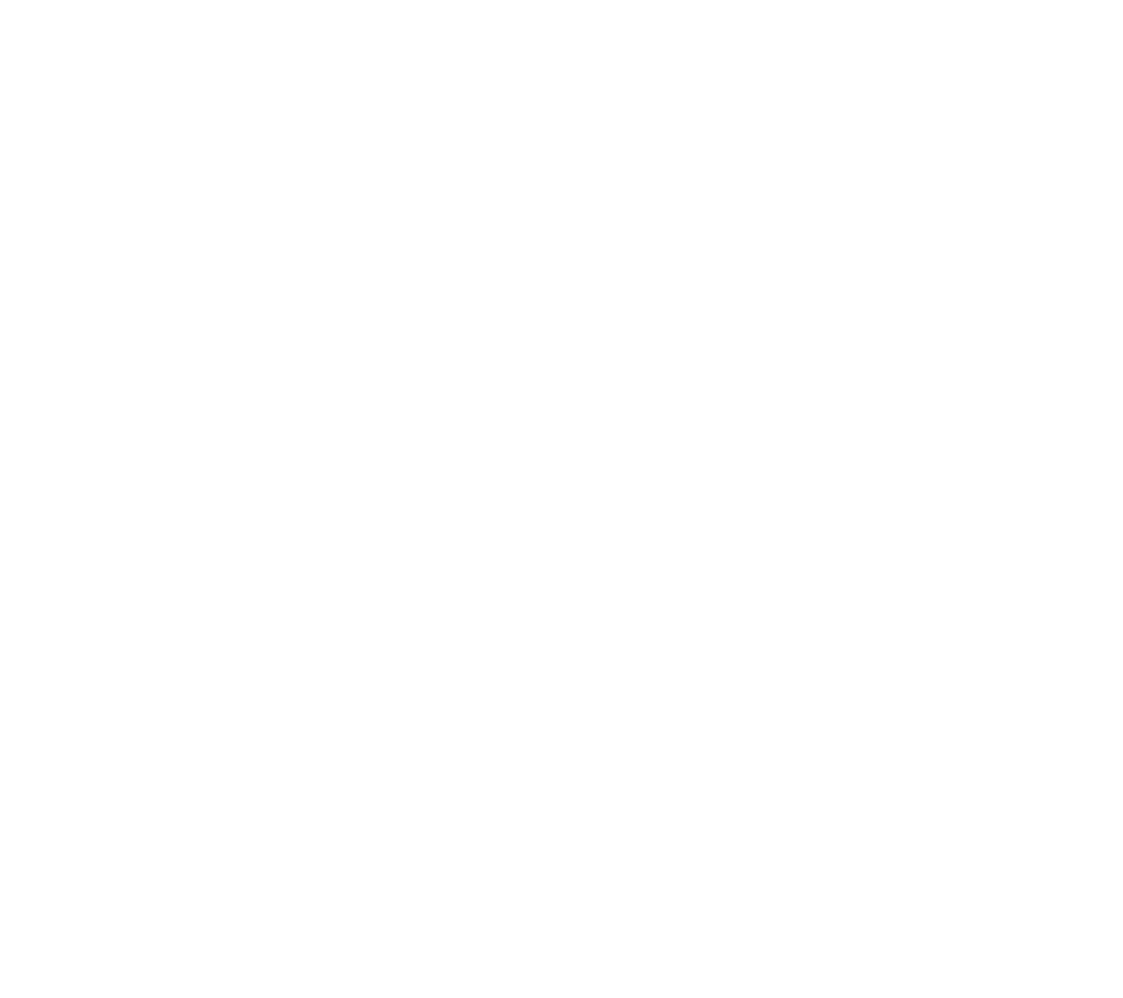 Northern Bliss Counseling Logo